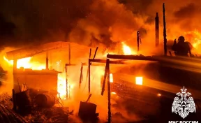 Жуткий пожар уничтожил дом и надворные постройки в кузбасском селе