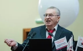 Жириновский предложил избирать президента решением Госсовета