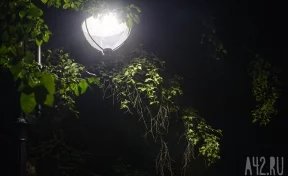Вандалы разбили новые светильники в кемеровском сквере