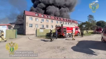 Фото: В Уссурийске загорелся склад со стройматериалами на площади 3 000 квадратных метров 1