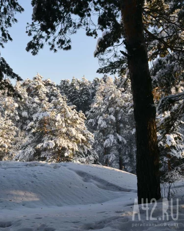 Проклов день: народные приметы на 3 декабря