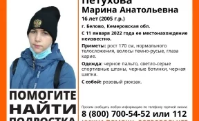 В Кузбассе продолжаются поиски 16-летней девочки. Её видели в районе хоккейной коробки на ул. Чкалова