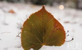 Синоптики сделали прогноз на 19 октября в Кузбассе
