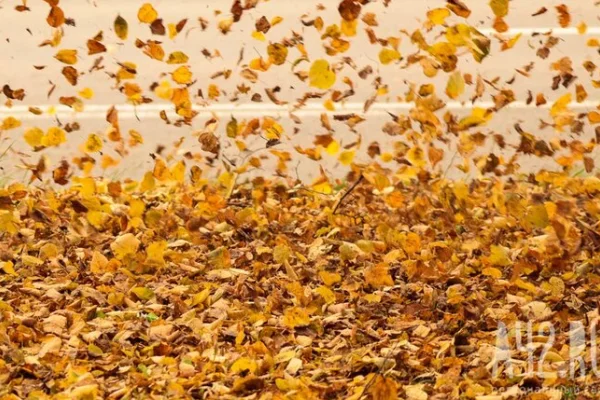 Юрист посоветовала сходить в отпуск в октябре