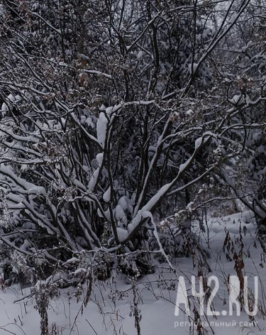 Авдей Радетель: народные приметы на 2 декабря
