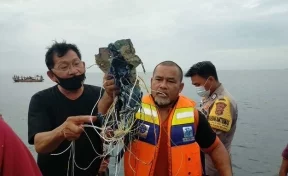На борту рухнувшего индонезийского самолёта Boeing находились 65 человек