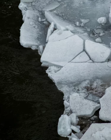 Трамп рассказал о намерении США относительно Гренландии