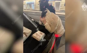Москвичка заплатила за убийство мужа 5 млн рублей, чтобы прекратить бракоразводный процесс 