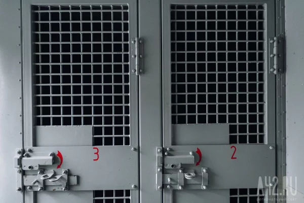 Николя Саркози выйдет из тюрьмы под судебный контроль