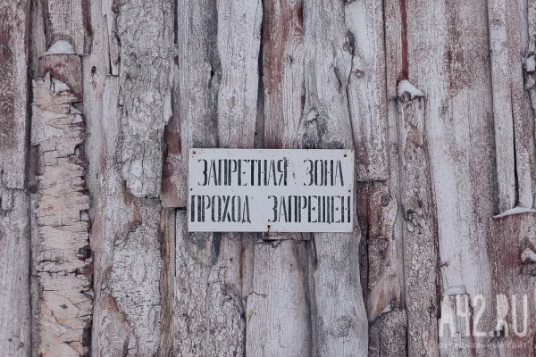 В Топкинском округе ввели карантин по бешенству на 60 дней