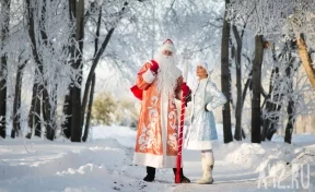 Дед Мороз предложил Владимиру Путину помогать друг другу