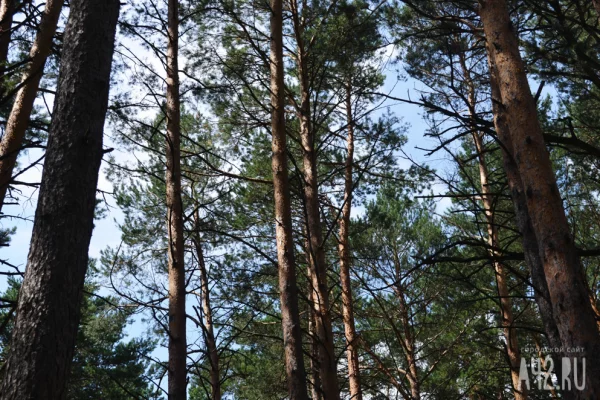 Александров день: народные приметы на 28 марта