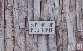 В Топкинском округе ввели карантин по бешенству на 60 дней