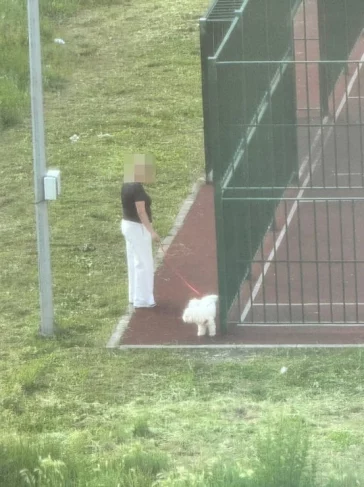 Фото: Мэра Юрги возмутили собачники на спортивной площадке и дети-вандалы в парке 1