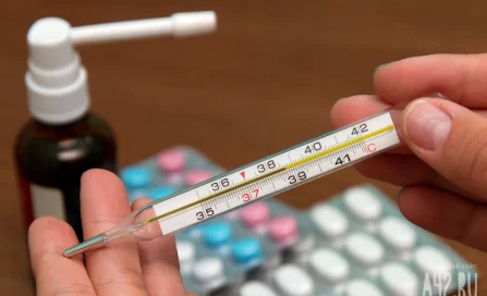 В Кузбассе заболеваемость ОРВИ упала почти на 30% за неделю