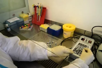 Фото: В Кемерове открыли ещё одну лабораторию для проведения тестов на коронавирус 1