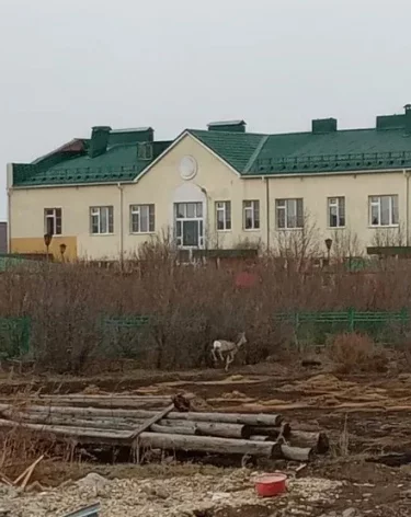 Фото, видео: <a href=https://vk.com/wall-200752967_9229>минлескомплекса и охотхозяйства Кузбасса</a> / «ВКонтакте»