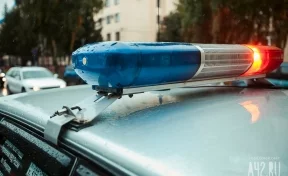 Полиция ищет очевидцев ДТП, произошедшего в районе ресторана в Кемерове