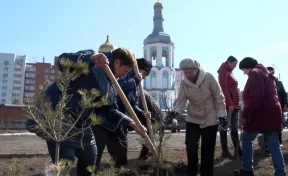 К Пасхе возле 11 храмов Кузбасса высадят деревья