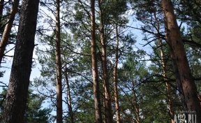 Александров день: народные приметы на 28 марта