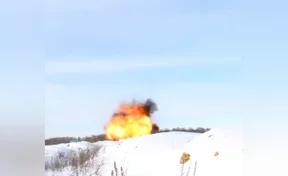В Кемерове уничтожение почти 500 незаконных боеприпасов сняли на видео