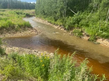 Фото: Прокуратура проверит сообщения о загрязнении золотодобытчиками рек в Тисульском районе 2
