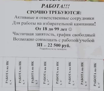 Фото: Власти Междуреченска предупредили о лжеобъявлениях, по которым набирают сотрудников в избирательные комиссии 1