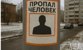 В Смоленске разыскивают пропавшую 9-летнюю девочку