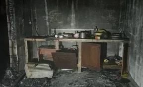 Дети 3 и 4 лет погибли в Челябинской области из-за вспыхнувшего тепловентилятора