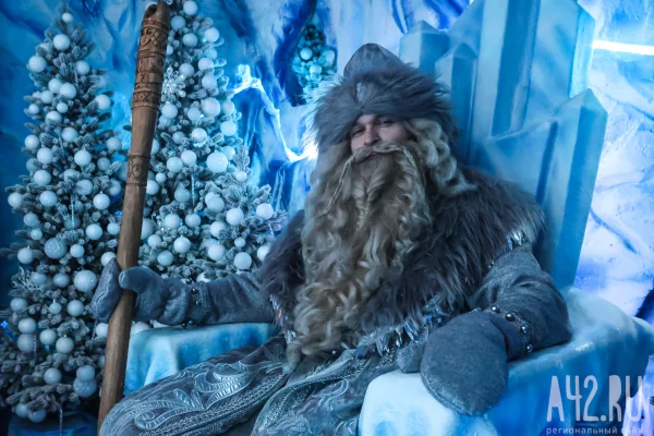 Где встретить Деда Мороза в Кузбассе в 2026 году: резиденции, ёлки, цены и адреса