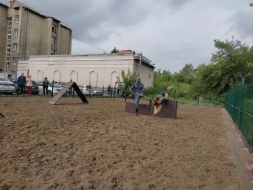 Фото: В центре Кемерова открыли площадку для выгула собак 2