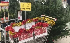 В супермаркетах Кемерова установили «корзины радости»