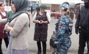 В Кемерове на рынке обнаружили нелегальных мигрантов