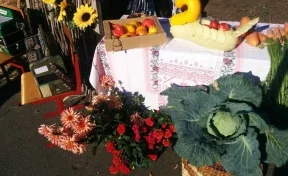 В Кемерове откроется ярмарка в честь Дня садовода и огородника