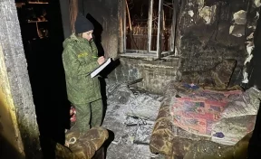 В Кузбассе на пожаре погибли женщина и трое детей: СК возбудил уголовное дело