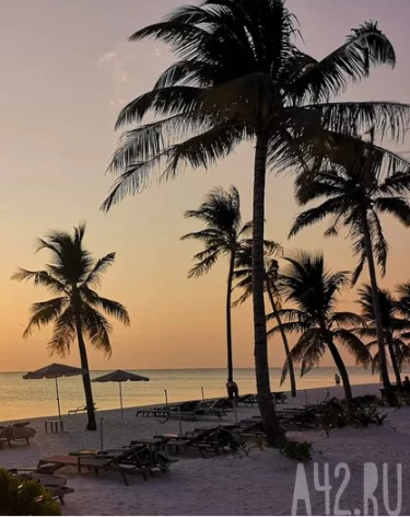 <a href=https://gazeta.a42.ru/>Фото: A42.RU</a>