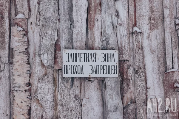 В Белове ввели карантин по бешенству на 60 суток