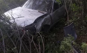 В Кузбассе автомобиль слетел с дороги и врезался в дерево