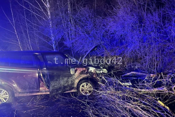 В Кузбассе водитель иномарки погиб, врезавшись в дерево