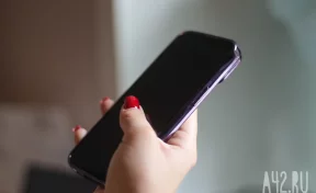 Фирму из Санкт-Петербурга оштрафовали на 150 тысяч рублей за спам-звонки в Кузбасс