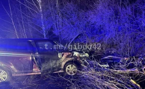 В Кузбассе водитель иномарки погиб, врезавшись в дерево