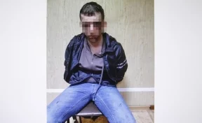 В Росгвардии рассказали, как обезвредили мужчину с ножом после убийства девушки в кафе Новокузнецка