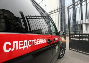 Фото: В Екатеринбурге осуждена няня, убившая мать своего воспитанника 1