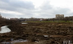 Власти рассказали о проекте парковой зоны на реке Искитимке в Кемерове
