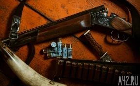 В Кузбассе сократилось количество преступлений с использованием огнестрельного оружия