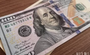 Американский экономист назвал причины резкого падения доллара в 2021 году