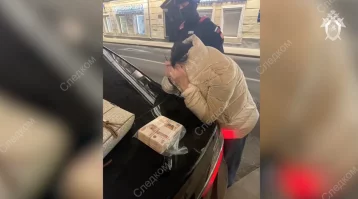 Фото: Москвичка заплатила за убийство мужа 5 млн рублей, чтобы прекратить бракоразводный процесс 1