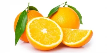 Фото: Диетолог рассказала о том, как надо есть апельсины, чтобы извлечь максимум пользы 1