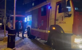 В Пензе на пожаре погибли 2 человека