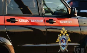 Бастрыкин потребовал доклад по обращению о сироте из кузбасского села